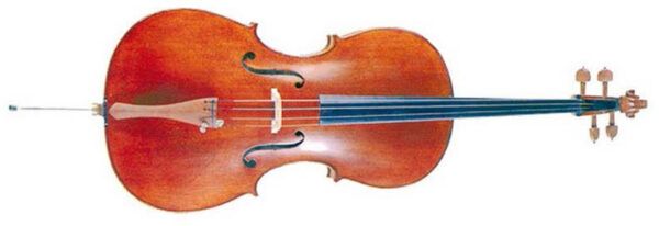 VIOLONCHELO Cello laminado con diapasón de ébano